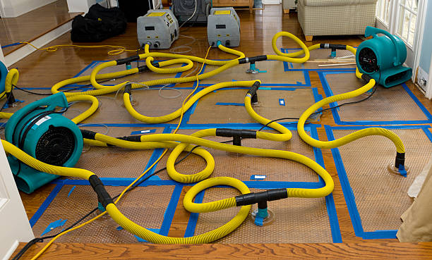 Professional Water Extraction technician working in Carver, MA